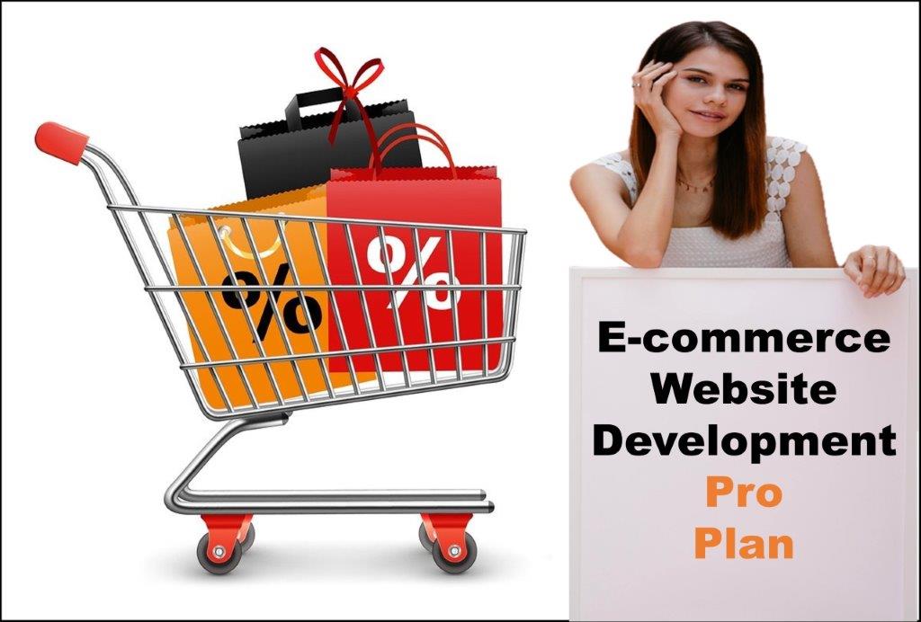 professional ecommerce website development agency in Juneau Alaska
