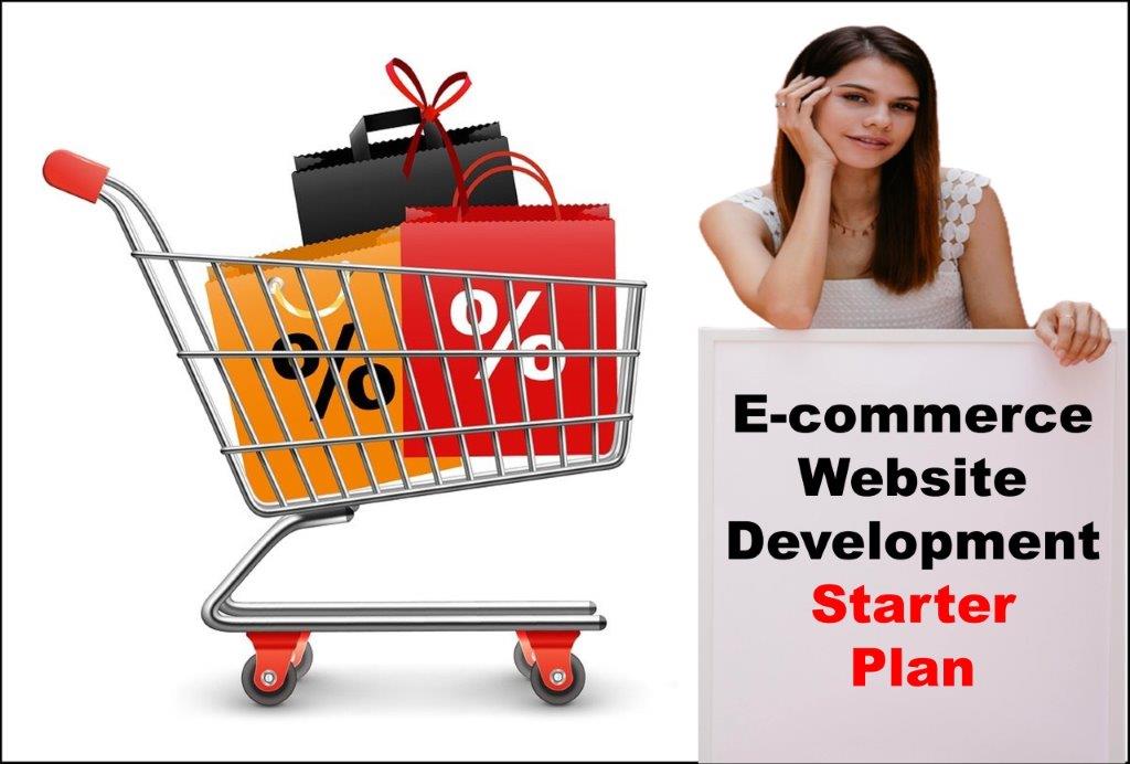 E-Commerce Website Development in Juneau Alaska