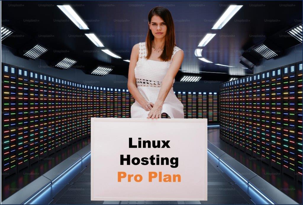 linux hosting windows hosting provider in Juneau Alaska