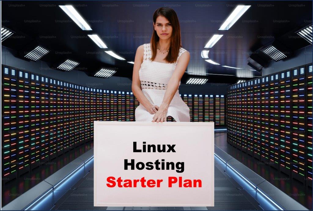 Website Hosting in Juneau Alaska