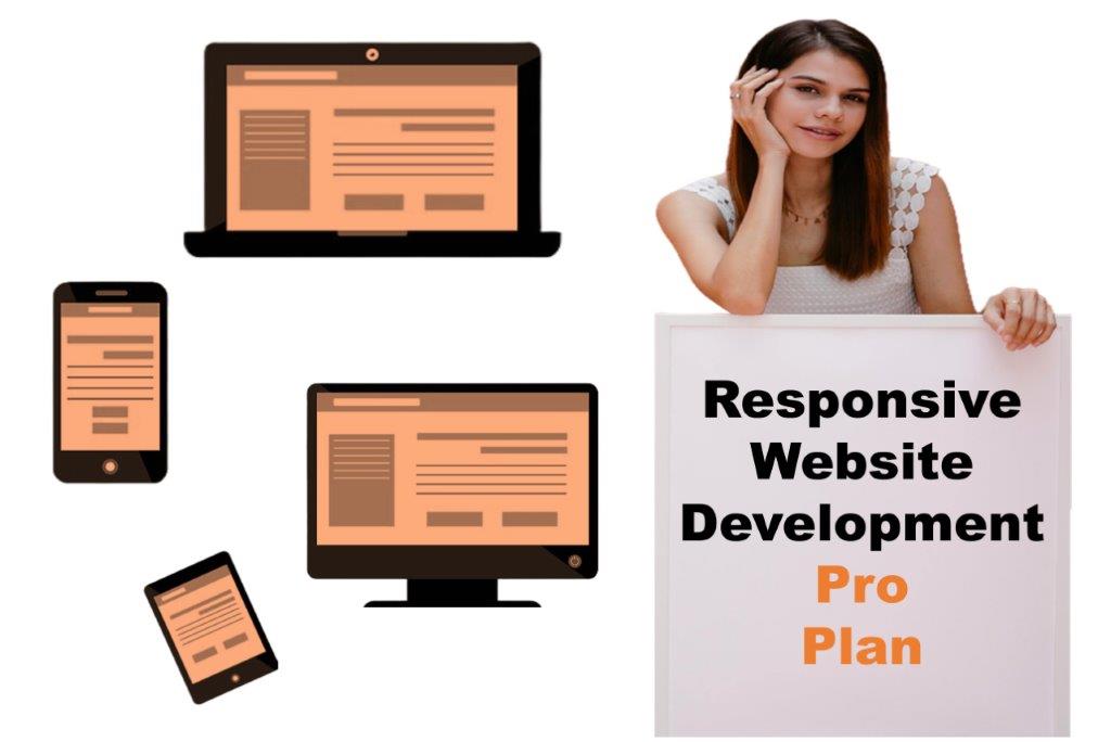 expert responsive website development agency in Juneau Alaska