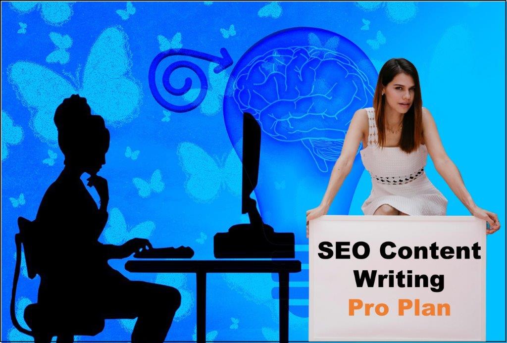 seo content writing agency Juneau Alaska