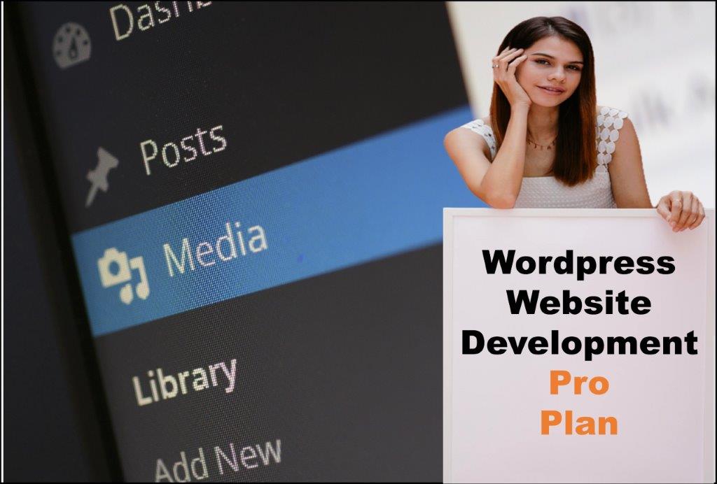 wordpress website designing in Juneau Alaska