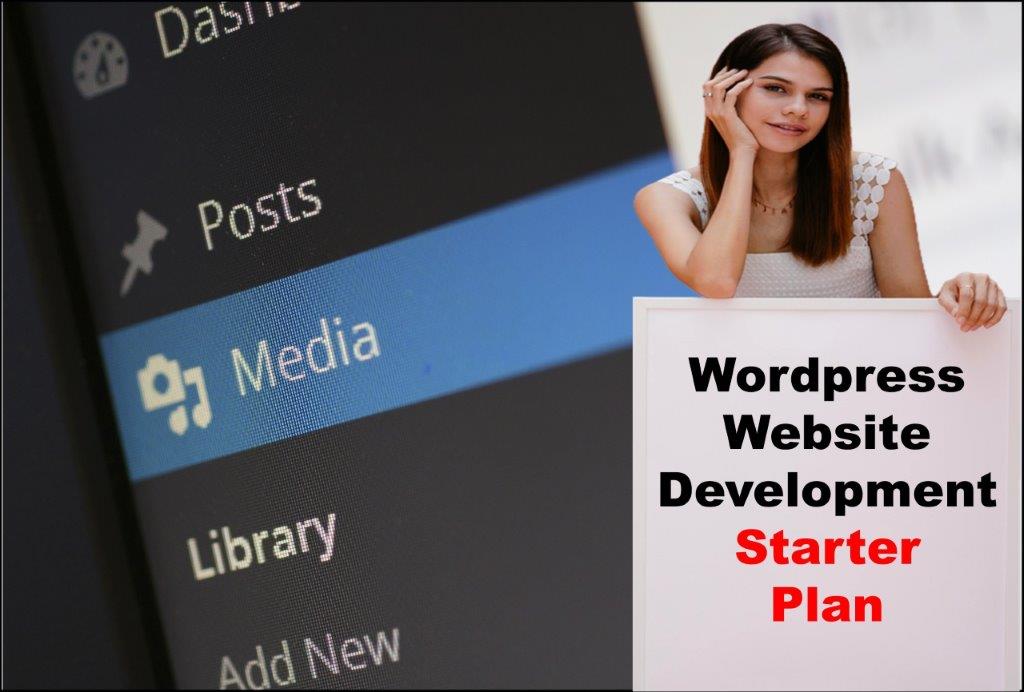 Wordpress Website Development in Juneau Alaska